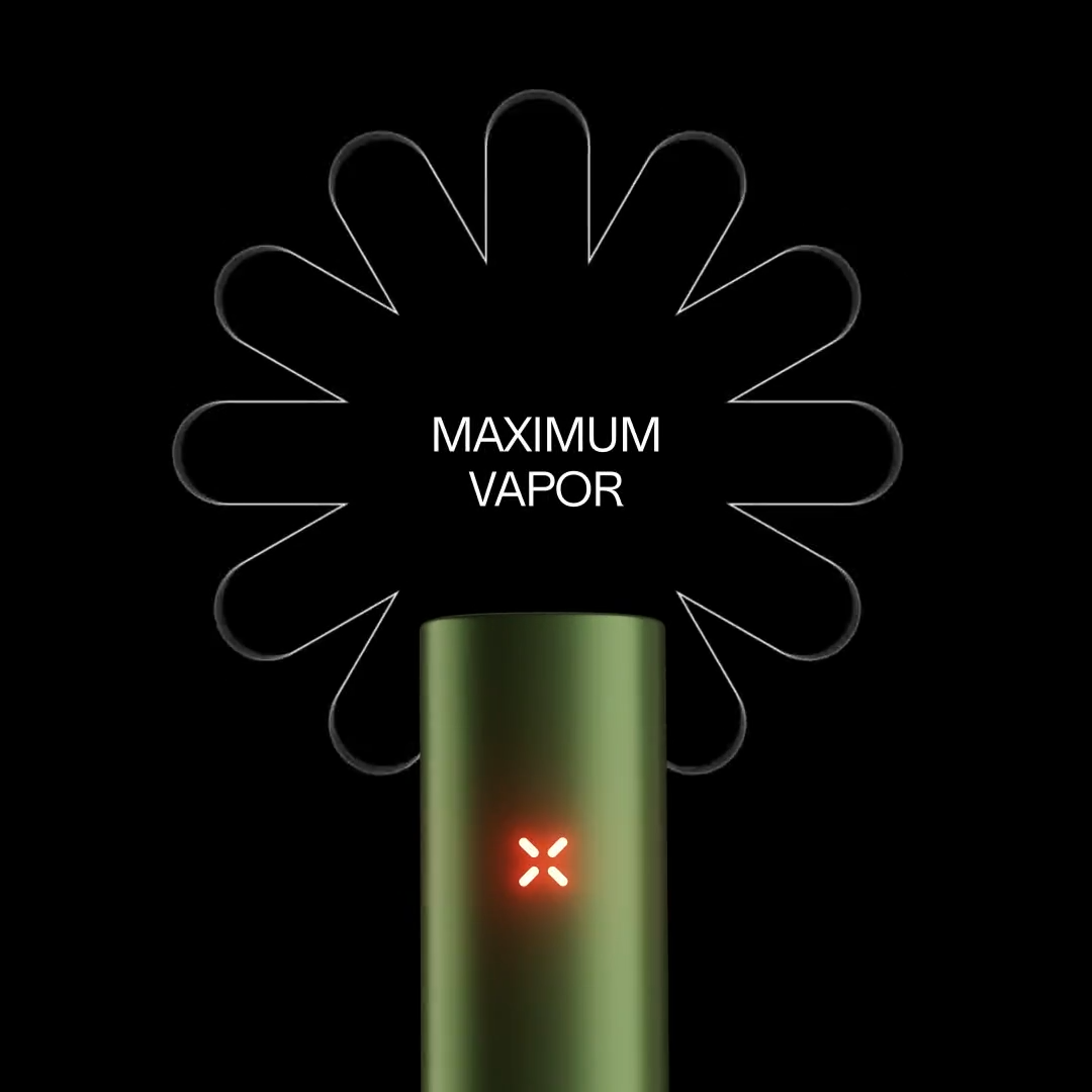 max vapor